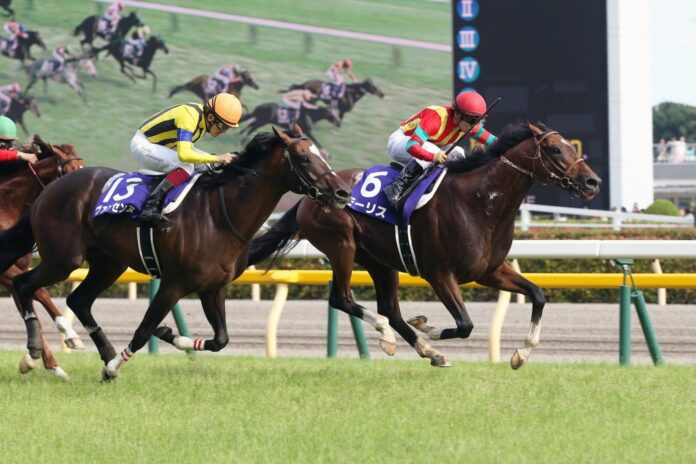 Online Ezgo123 Horse Racing Betting