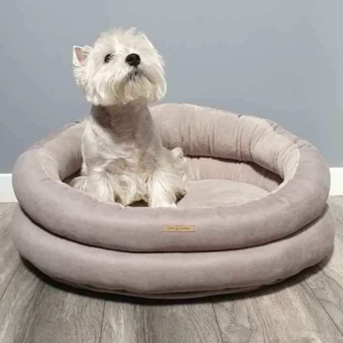 orthopedic dog bed for large dogs